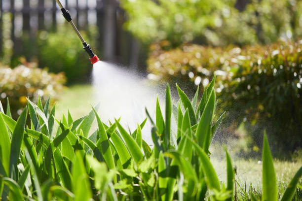 Tamper-Resistant Bait Stations for Rodents in Panaca