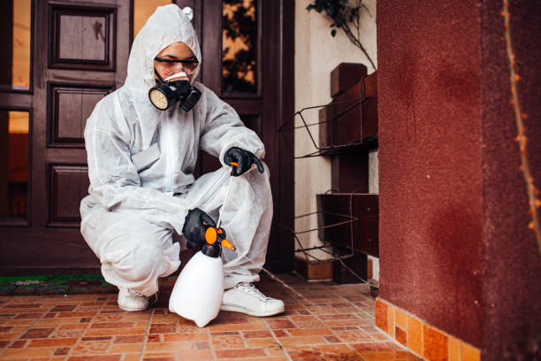 Attic and Crawl Space Rodent Treatment in Panaca