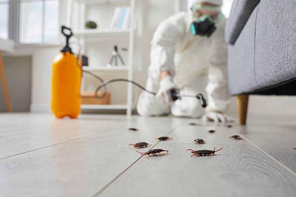 Commercial Rodent Management in Panaca
